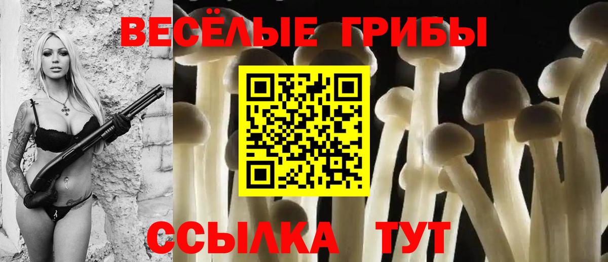Псилоцибиновые грибы Psilocybe Воткинск